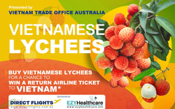Mua loại trái cây đặc sản Việt Nam, cơ hội trúng thưởng ngay vé máy bay khứ hồi Úc - Việt Nam