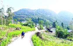 NTM Hà Giang: Xã Sảng Tủng nỗ lực vượt khó về đích nông thôn mới
