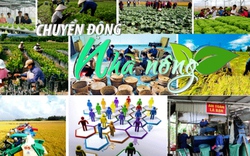 Chuyển động Nhà nông 19/7: Đặt mục tiêu thu nhập của HTX nông nghiệp đạt trên 5 tỷ đồng mỗi năm