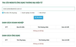 Chủ doanh nghiệp bị phạt vì dùng trang thương mại điện tử "chui"