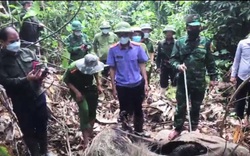 Đã xác định được nguyên nhân khiến con voi nặng gần 1 tấn bị chết ở Hà Tĩnh