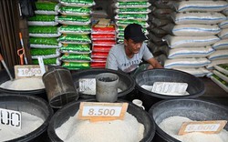 2 nước Đông Nam Á tăng tốc mua lượng gạo khổng lồ của Việt Nam