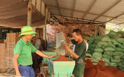 Anh nông dân Thái Bình làm ra chiếc máy gieo mạ khay giá rẻ nhưng chất lượng tương đương các hãng lớn 