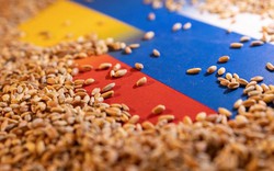 Thỏa thuận ngũ cốc Biển Đen sụp đổ đe dọa 'giỏ bánh mì' của nhiều nước