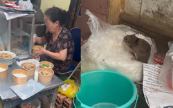 Xác minh "chuột chễm chệ trên túi bún" ở Hà Nội gây xôn xao