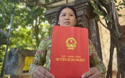 "Kỳ lạ" tại Bình Định: Huyện cấp 27 sổ đỏ, sau 14 năm dân chưa có đất xây nhà