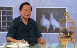 GÓC CHUYÊN GIA: Chuyên gia giải đáp thắc mắc về kỹ thuật nuôi chim bồ câu Pháp sinh sản