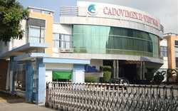 Cadovimex (CAD) vẫn lỗ sâu, âm vốn chủ hơn 1.300 tỷ đồng