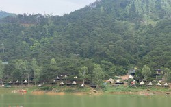 Dỡ bỏ hơn 200 lều lán dựng trái phép trên rừng phòng hộ ở Sóc Sơn (Hà Nội)