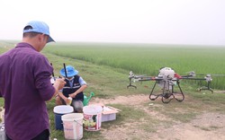 Máy bay không người lái lượn trên đồng lúa lớn nhất Nghệ An, nông dân nhẹ cả người