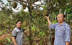 Những thương binh vượt khó, làm kinh tế giỏi