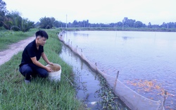 TP.HCM hướng đến nông nghiệp sinh thái, nông thôn hiện đại, nông dân văn minh