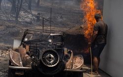 Ôtô cháy trơ khung tại nhiều nước Địa Trung Hải do cháy rừng