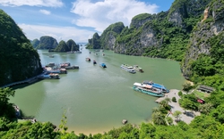 Không có chuyện "ngăn sông cấm chợ" ở vịnh Hạ Long và vịnh Lan Hạ