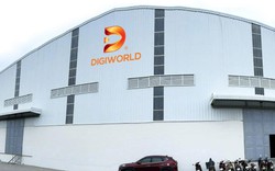 Lợi nhuận Digiworld giảm gần 40%, Chủ tịch Đoàn Hồng Việt mong chờ điều gì?