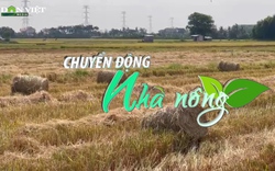 Chuyển động Nhà nông 28/7: Tăng cường thu hút đầu tư vào lĩnh vực phế phụ phẩm nông nghiệp