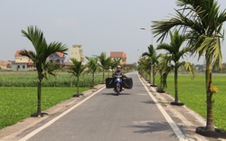 Xã nông thôn mới kiểu mẫu ở Nam Định, đường làng sạch tinh tươm, hàng cau đẹp như phim