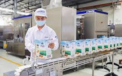 Vinamilk (VNM): Quý II lãi tăng trưởng 6%, 6 tháng ghi nhận hơn 700 tỷ đồng lãi gửi ngân hàng