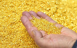 Giá vàng hôm nay 31/7: Vàng giảm nhẹ trong phiên giao dịch đầu tuần