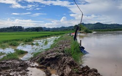 Bão lũ gây thiệt hại hơn 2.400 ha hoa màu ở Đắk Lắk