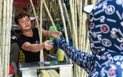 Quán nước mía ở Hà Nội thuê 10 người, ngày bán 6.000 cây thu tiền "khủng"