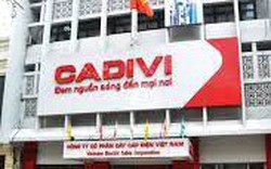 Cadivi (CAV) chốt ngày trả cổ tức đợt 3/2022 bằng tiền, tỷ lệ 40%