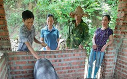 Nuôi thứ lợn nhai rau rừng rau ráu, một nông dân ở Điện Biên "bỏ túi" hơn nửa tỷ/năm