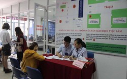 6 tháng cuối năm, TP.HCM cần 90.000 lao động, các doanh nghiệp thương mại, dịch vụ có nhu cầu tuyển lớn nhất