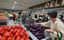 FAO: Giá lương thực thế giới tiếp tục giảm 