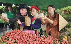 Đua nhau khởi nghiệp, bán hàng trên nền tảng số: Muốn thành công, chuyên gia lưu ý 4 vấn đề