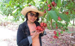 Ở một nơi của Khánh Hòa có nông trại mang tên Hoa Quả Sơn, khách tới thấy cây trái quá trời