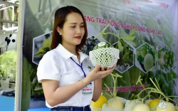 TP.HCM đẩy mạnh chuyển đổi số khu vực nông thôn, hướng tới nông thôn mới thông minh