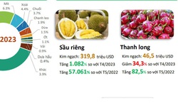 Ngỡ ngàng 5 loại trái cây Việt Nam được Trung Quốc nhập khẩu nhiều nhất