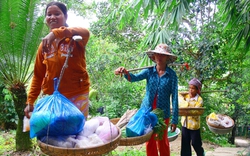 Vượt vách núi cao dựng đứng, chị em gánh hàng từ đồng bằng lên núi Cấm bán cho "sơn dân"