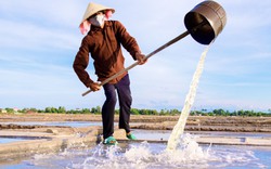 Nơi duy nhất ở Quảng Bình vẫn giữ nghề múc nước mặn, cào thứ hạt bán rẻ, ai cũng phải ăn