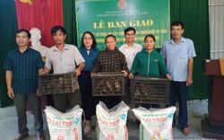 Nghệ An: Hội Nông dân huyện Quỳ Châu trao giống vật tư xây dựng mô hình chăn nuôi vịt bầu Quỳ đặc sản