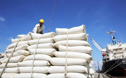 Bộ Công Thương yêu cầu báo cáo gấp gạo tồn kho, hợp đồng xuất khẩu gạo