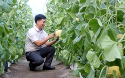 Xin tiền mua lẩu và bia, đi tìm... "bí kíp" khởi nghiệp làm nông rồi thành luôn nông dân Việt Nam xuất sắc 2023