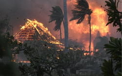 36 người chết trong trận cháy rừng "như phim kinh dị" ở Hawaii