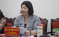 Phó Chủ tịch T.Ư Hội NDVN Cao Xuân Thu Vân làm việc với Tham tán Nông nghiệp Mỹ và Viện Lúa quốc tế IRRI