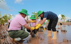 C.P. Việt Nam khởi động dự án trồng cây bảo vệ đa dạng sinh học tại trang trại nuôi tôm 