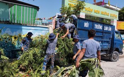 Lữ đoàn 101 phối hợp với Trường mầm non Hướng Dương dọn vệ sinh và chỉnh trang cảnh quan