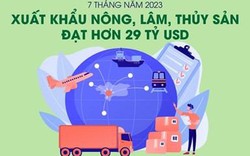 7 tháng năm 2023: Việt Nam xuất khẩu nông, lâm, thủy sản đạt hơn 29 tỷ USD