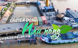 Chuyển động Nhà nông 12/8: Giá gạo tăng, doanh nghiệp xuất khẩu vẫn có thể lỗ