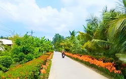 Đẹp mê tơi những tuyến đường hoa nông thôn mới ở một xã của Cà Mau, bảo sao dân ham chụp hình, quay phim 