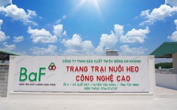 BAF Việt Nam (BAF) phê duyệt khoản vay 500 tỷ đồng 