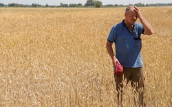 Biển Đen trở thành chiến trường nóng rẫy, nông dân Ukraine 'đau đớn' vì 'sống dở chết dở'