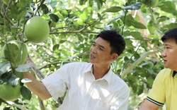 Hậu Giang tìm giải pháp dinh dưỡng nhằm tăng giá trị cây ăn trái