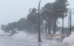 Chuyên gia dự báo: 3 tháng tới, biển Đông khả năng xuất hiện 5-7 cơn bão, áp thấp nhiệt đới