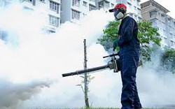 Hà Nội kiên quyết xử lý nghiêm doanh nghiệp, nhà hàng không phòng, chống sốt xuất huyết Dengue